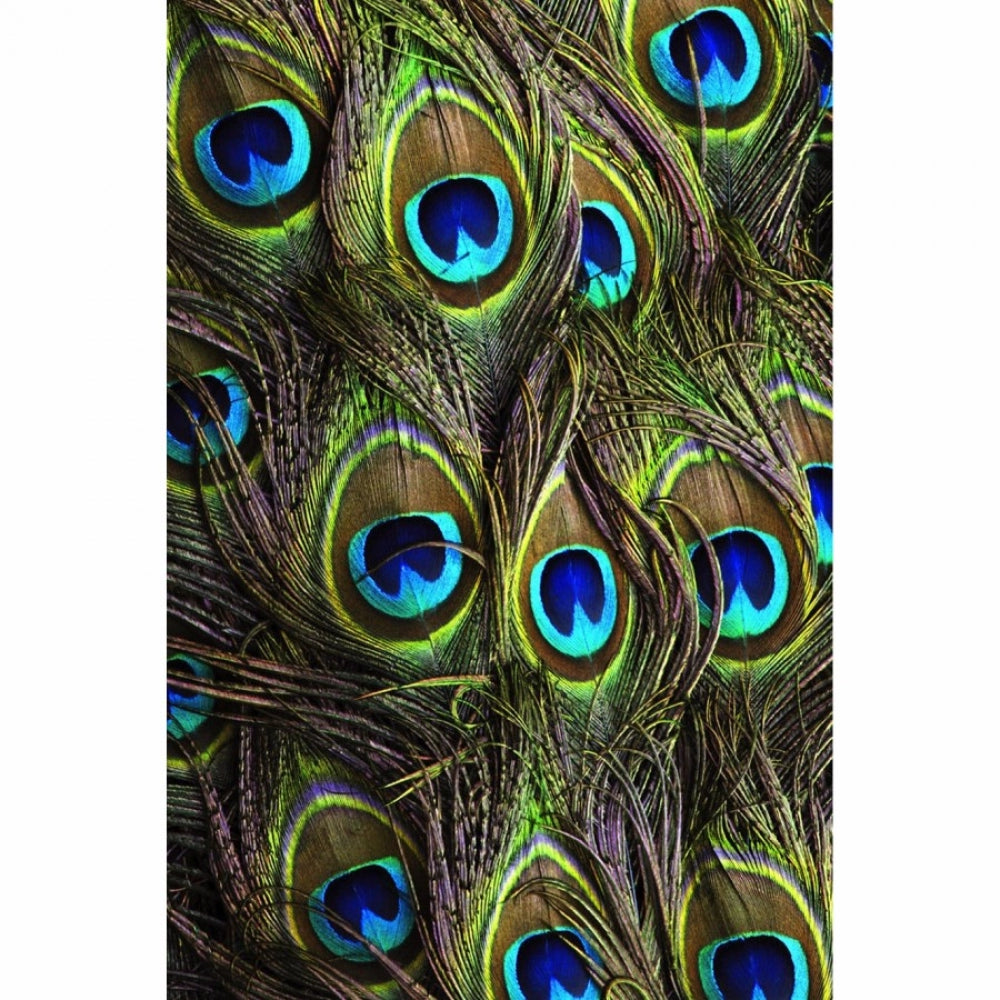 Beautiful Peocock Tail Mobile Case Cover