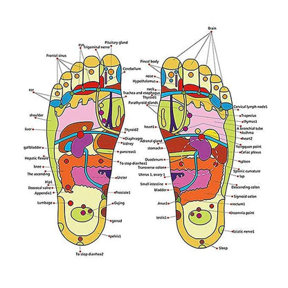 OS Acupressure Foot Relaxer Massager Slipper PRODUCT CODE (OS0002072)