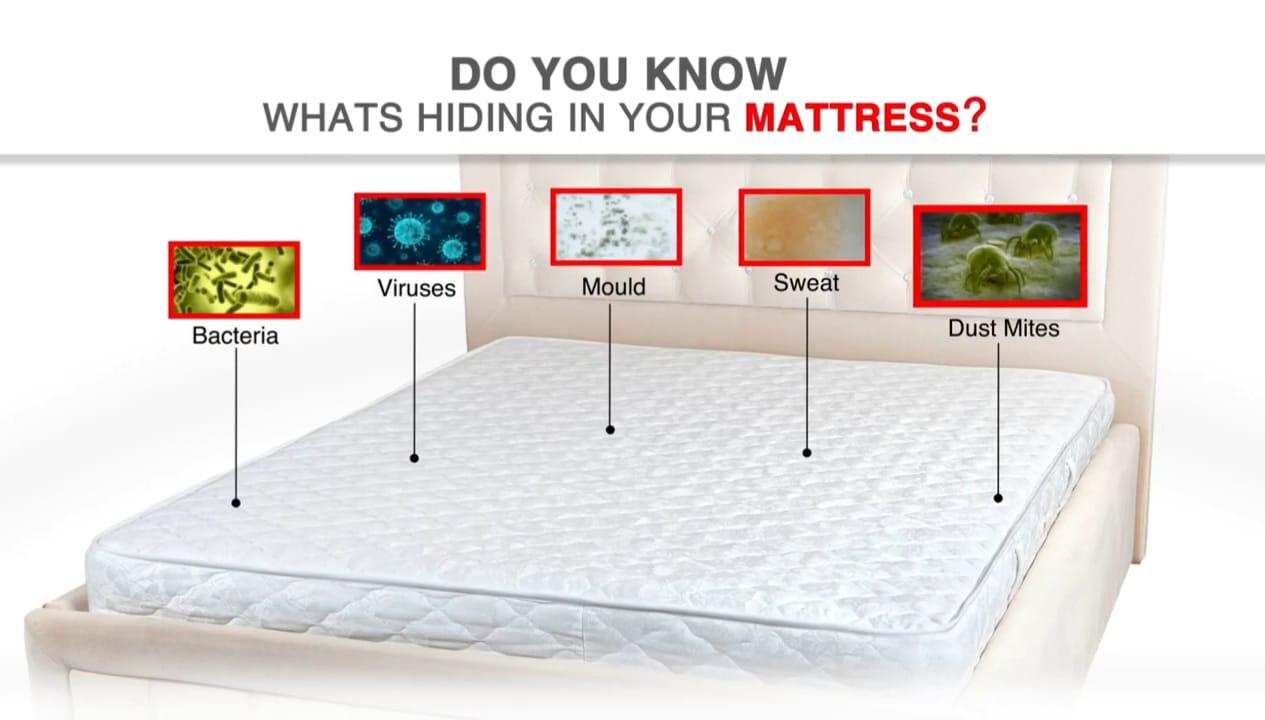 OS Fidato Double Bed Mattress Protector Sheet with 2 Pillow Protector PRODUCT CODE (OS0004786)