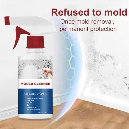 OS Deodorizing & Purifying Household Cleaning Foam Spray 60ml (Pack of 2) PRODUCT CODE (OS0004596)