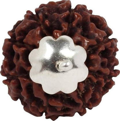 OS 7 Mukhi Rudraksha Silver Capped Pendant PRODUCT CODE(OS0006204)