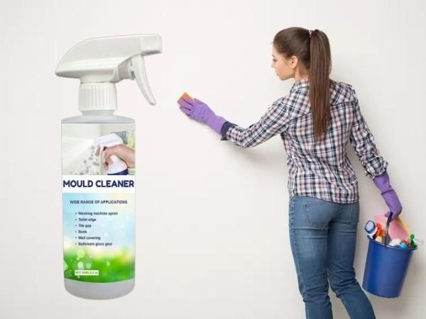 OS Household Mould Cleaner Spray (60 ml) PRODUCT CODE (OS0004730)