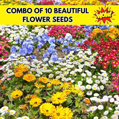 OS 150 Variety of Organic Flower Seeds PRODUCT CODE (OS0004501)