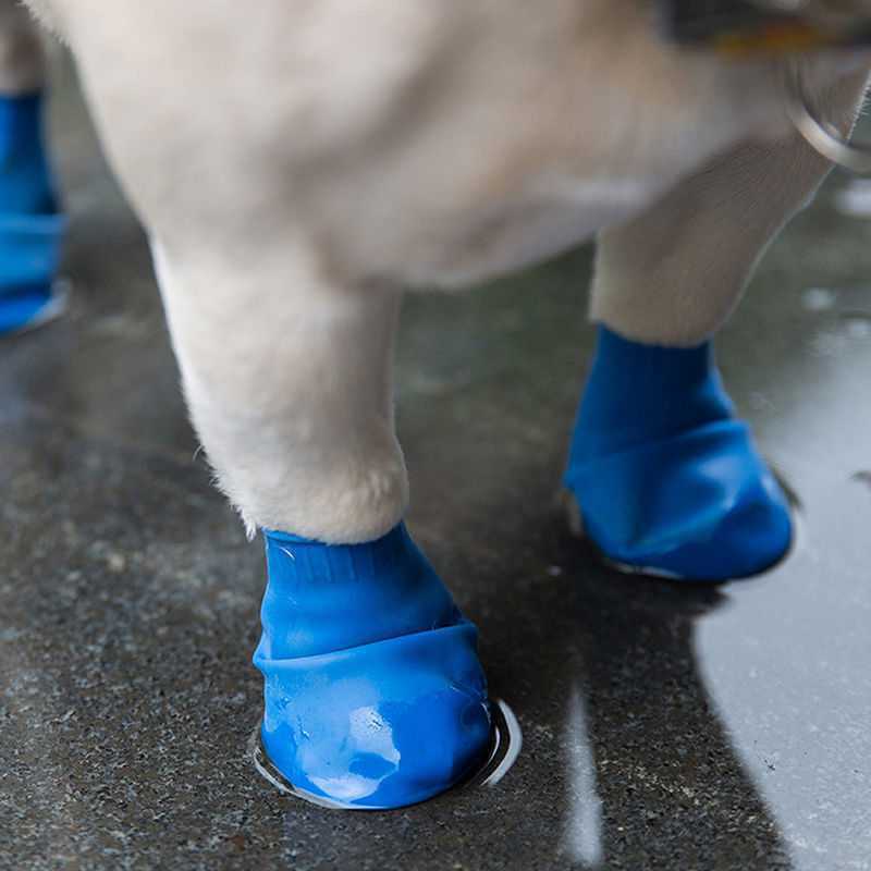 Summer Dog Balloon Foot Cover Rain Boots Go Out