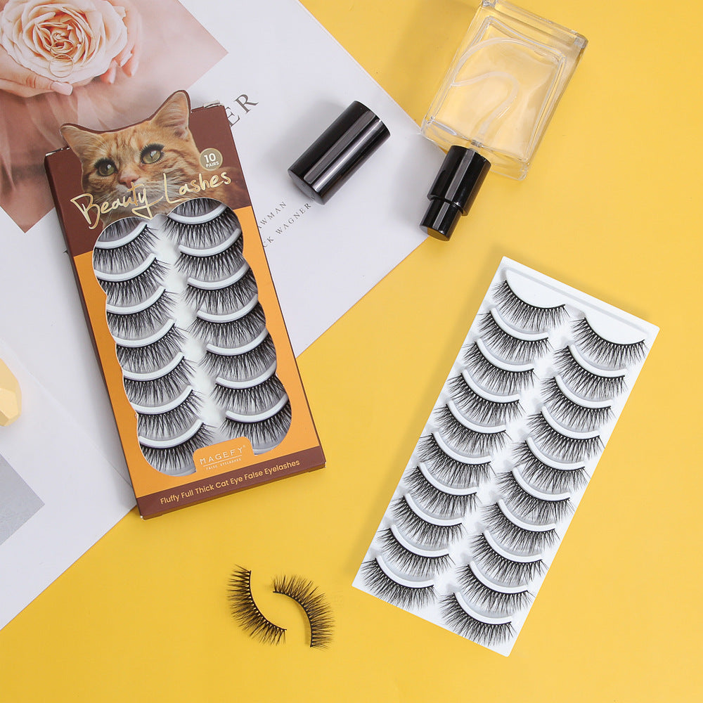 Beauty Supplies 10 Pairs Natural False Eyelashes Box