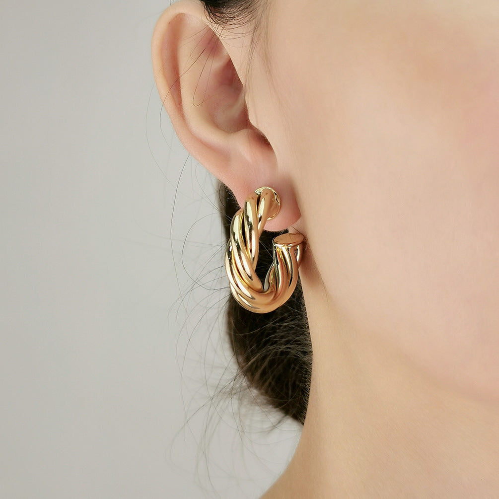 Niche Personality Metal Wind Line Twisted Hollow Spiral Earrings