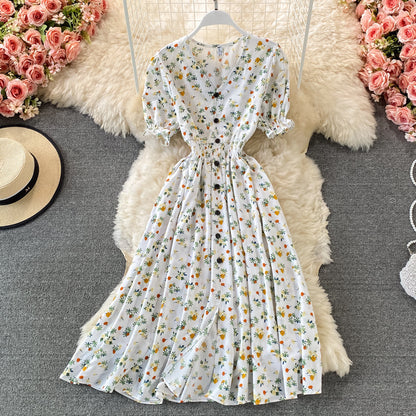 Waist Slimming Single Breasted Chiffon Dress